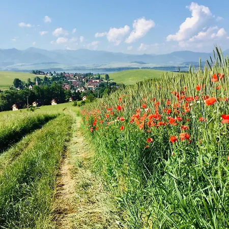 Eternity Trnovec 샬레 *